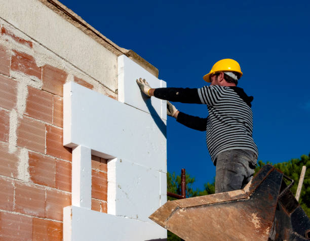 Best Geographic-Specific Insulation Services in Carpendale, WV